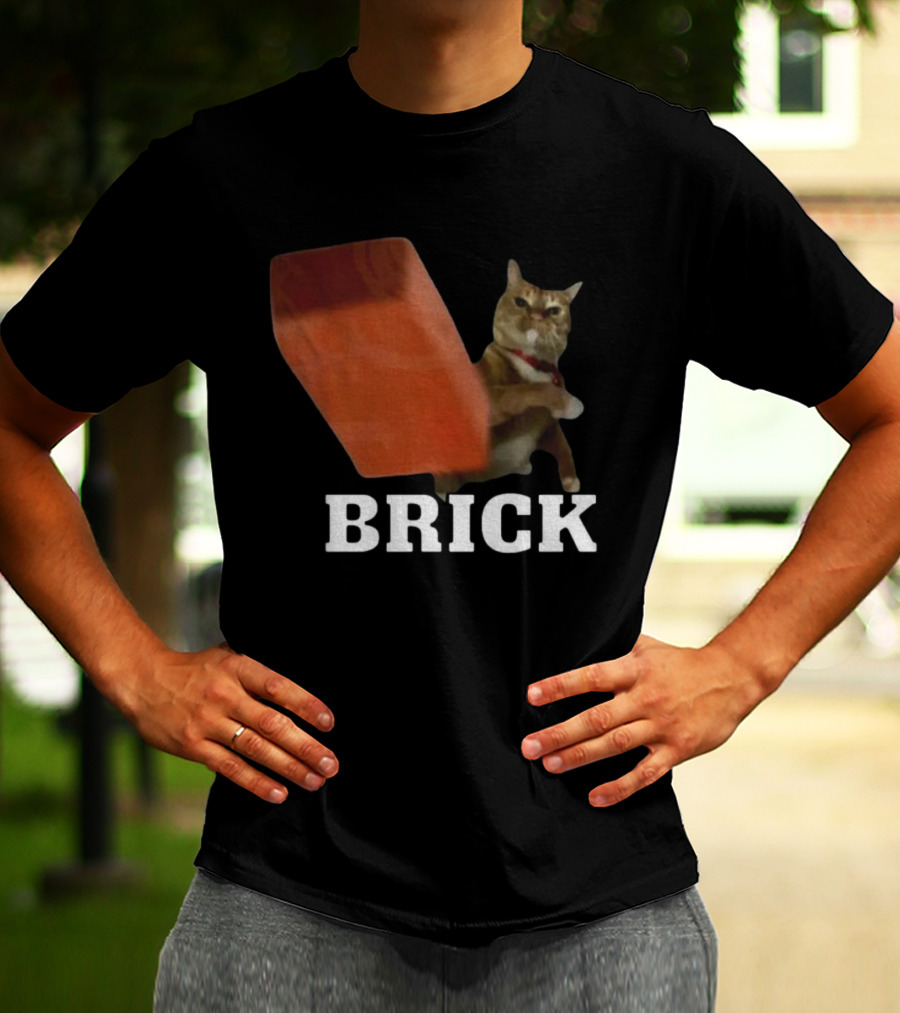 Funny Cat Brick Throw Meme T-Shirt