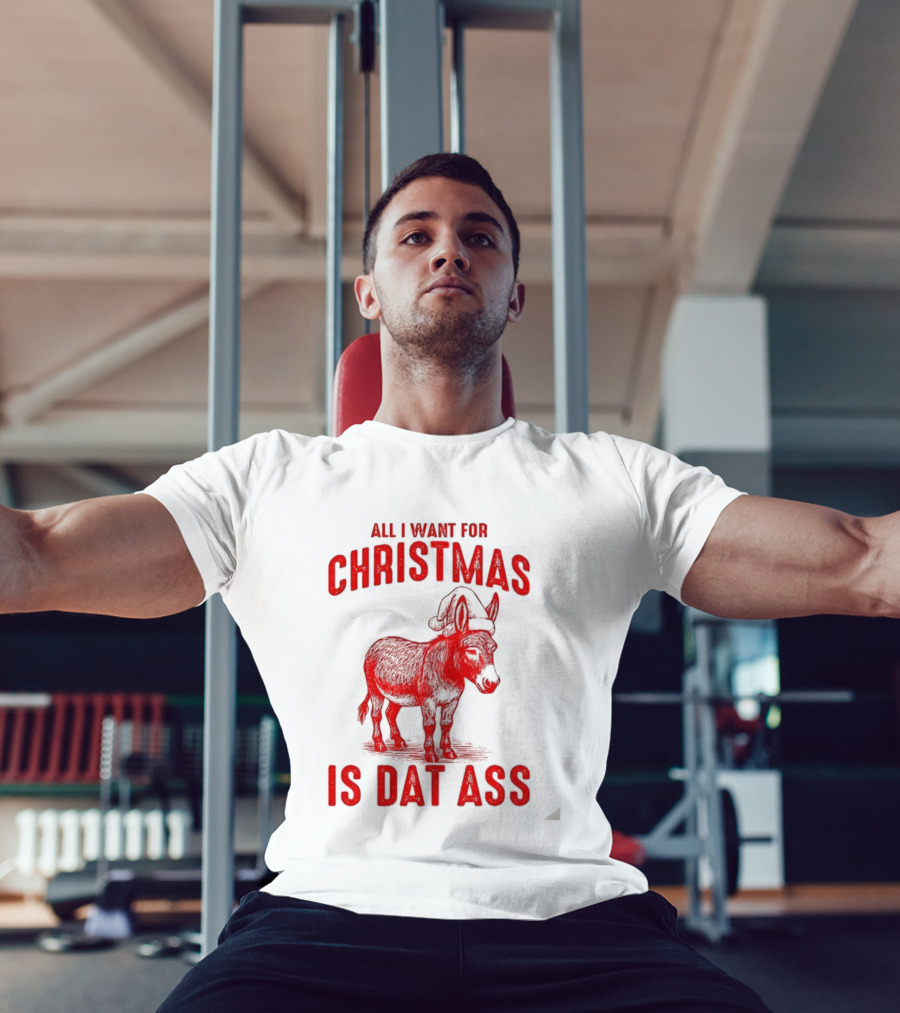 All I Want For Christmas Is Dat Ass Donkey Santa Hat T-Shirt