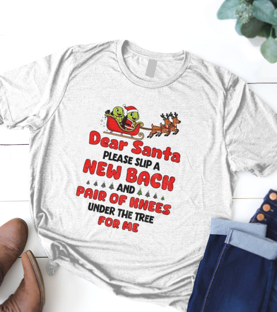 Dear Santa New Back Pair Of Knees Holiday Turtle Sleigh T-Shirt