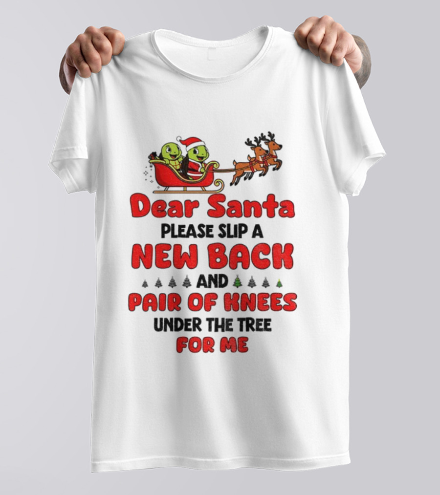 Dear Santa New Back Pair Of Knees Holiday Turtle Sleigh T-Shirt