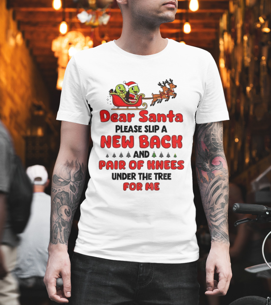 Dear Santa New Back Pair Of Knees Holiday Turtle Sleigh T-Shirt