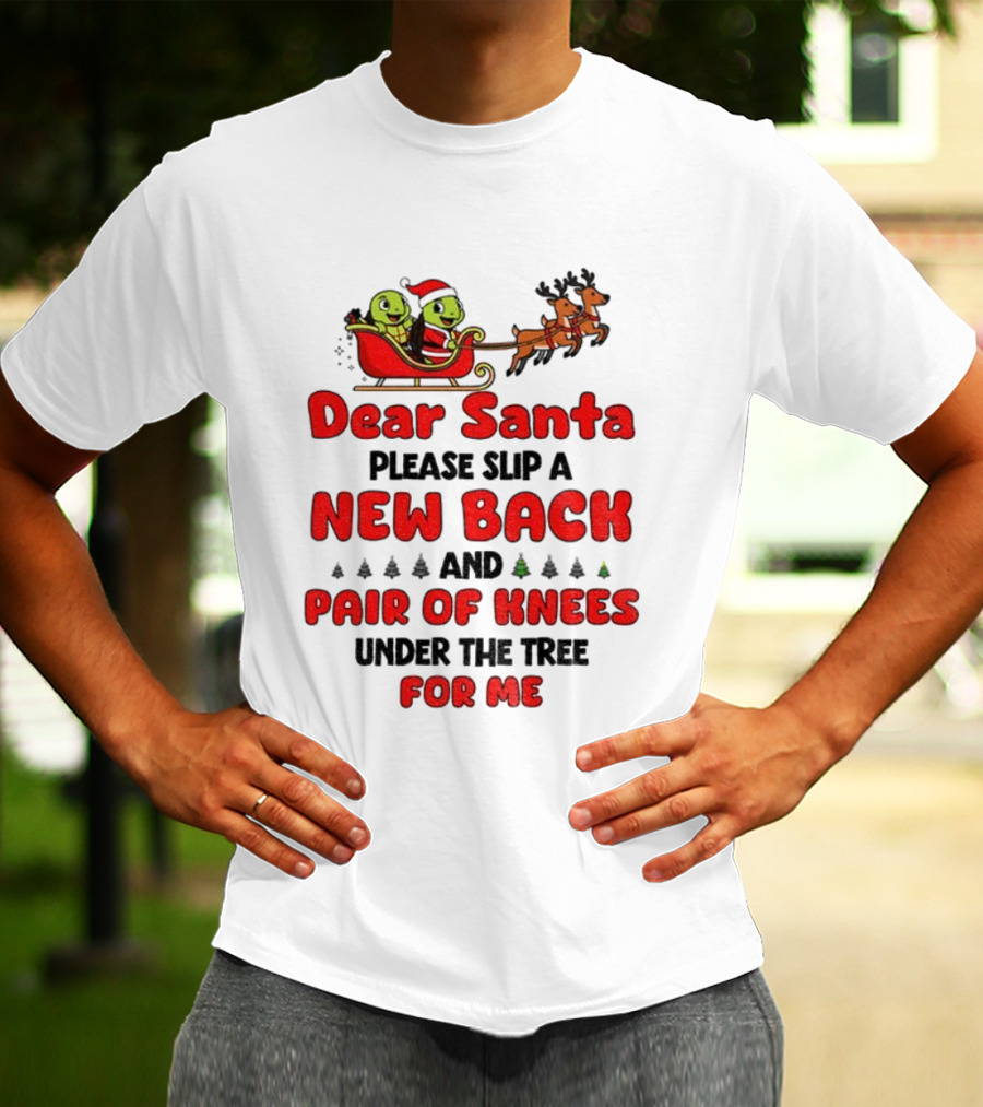 Dear Santa New Back Pair Of Knees Holiday Turtle Sleigh T-Shirt