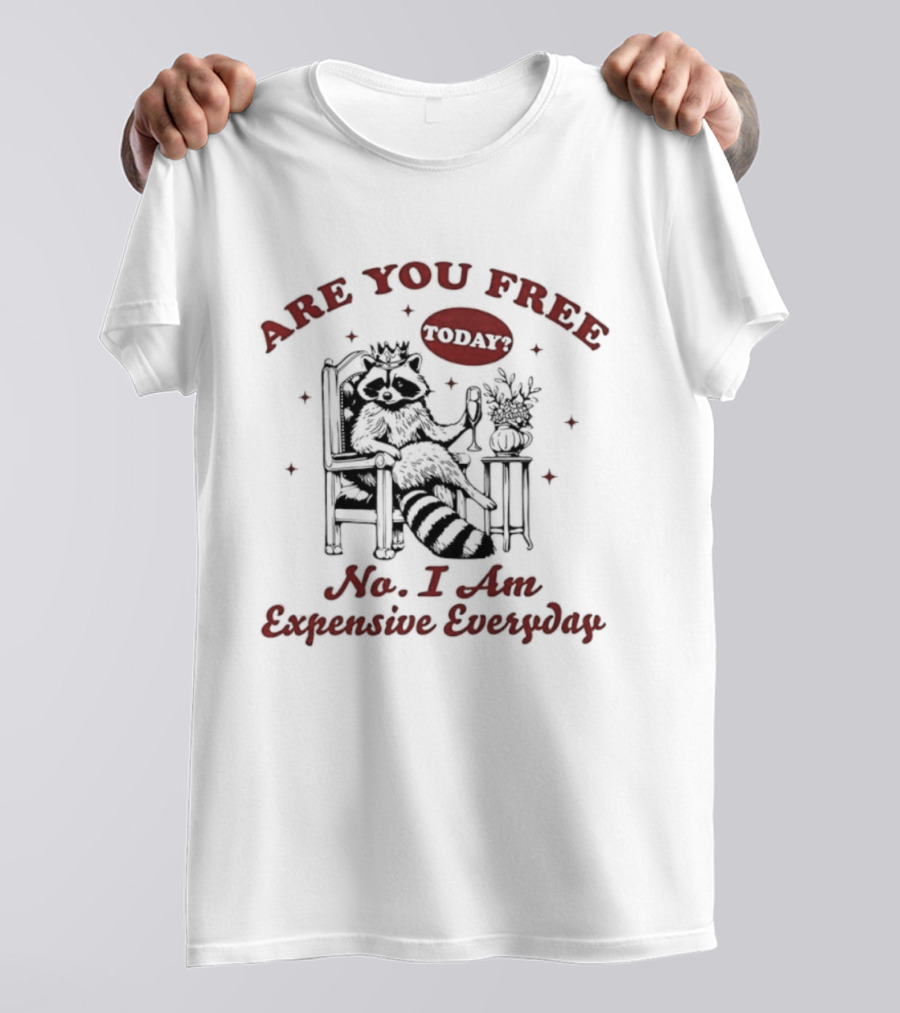 Are You Free Today No I Am Expensive Everyday Raccoon T-Shirt