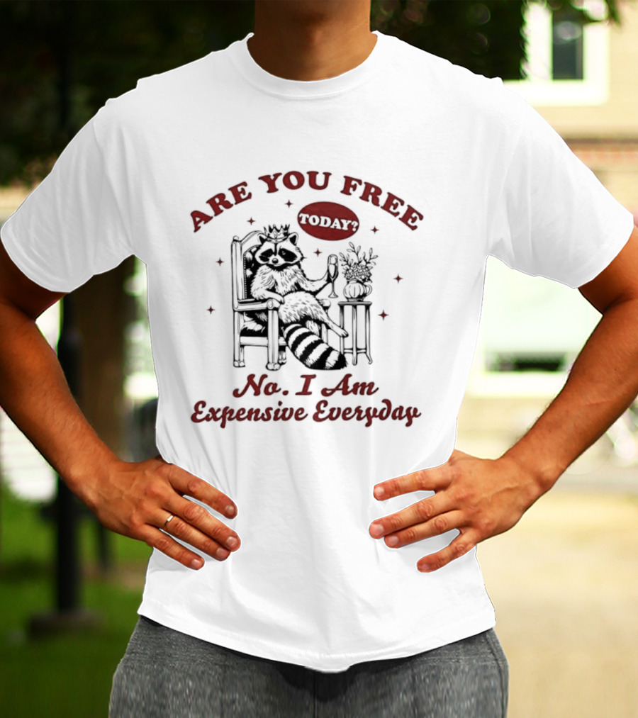 Are You Free Today No I Am Expensive Everyday Raccoon T-Shirt