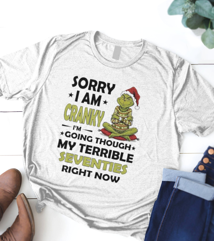 Sorry I Am Cranky Grinch Santa Hat Going Through My Terrible Seventies T-Shirt
