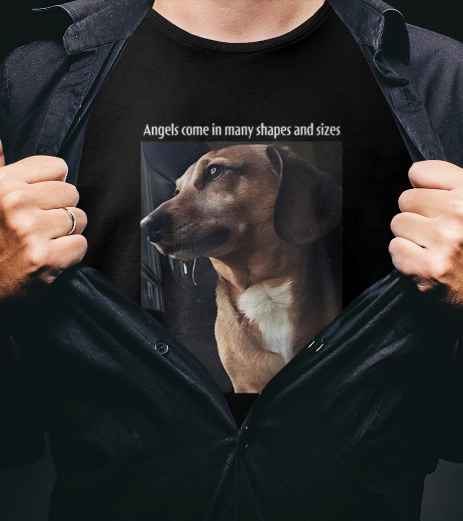 Angels Come In Many Shapes And Sizes Dog Portrait T-Shirt