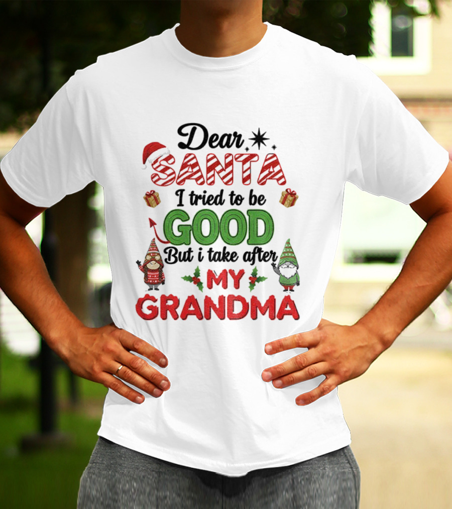 Dear Santa I Tried To Be Good But I Take After My Grandma Gnome Couple Christmas T-Shirt