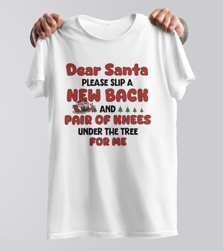 Dear Santa Please Slip A New Back And Pair Of Knees Under The Tree For Me T-Shirt