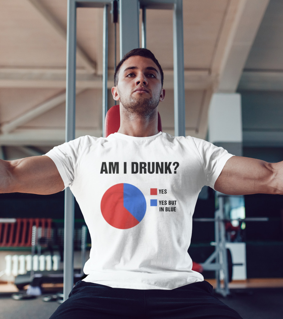 Am I Drunk Yes Yes But In Blue Pie Chart Humor T-Shirt