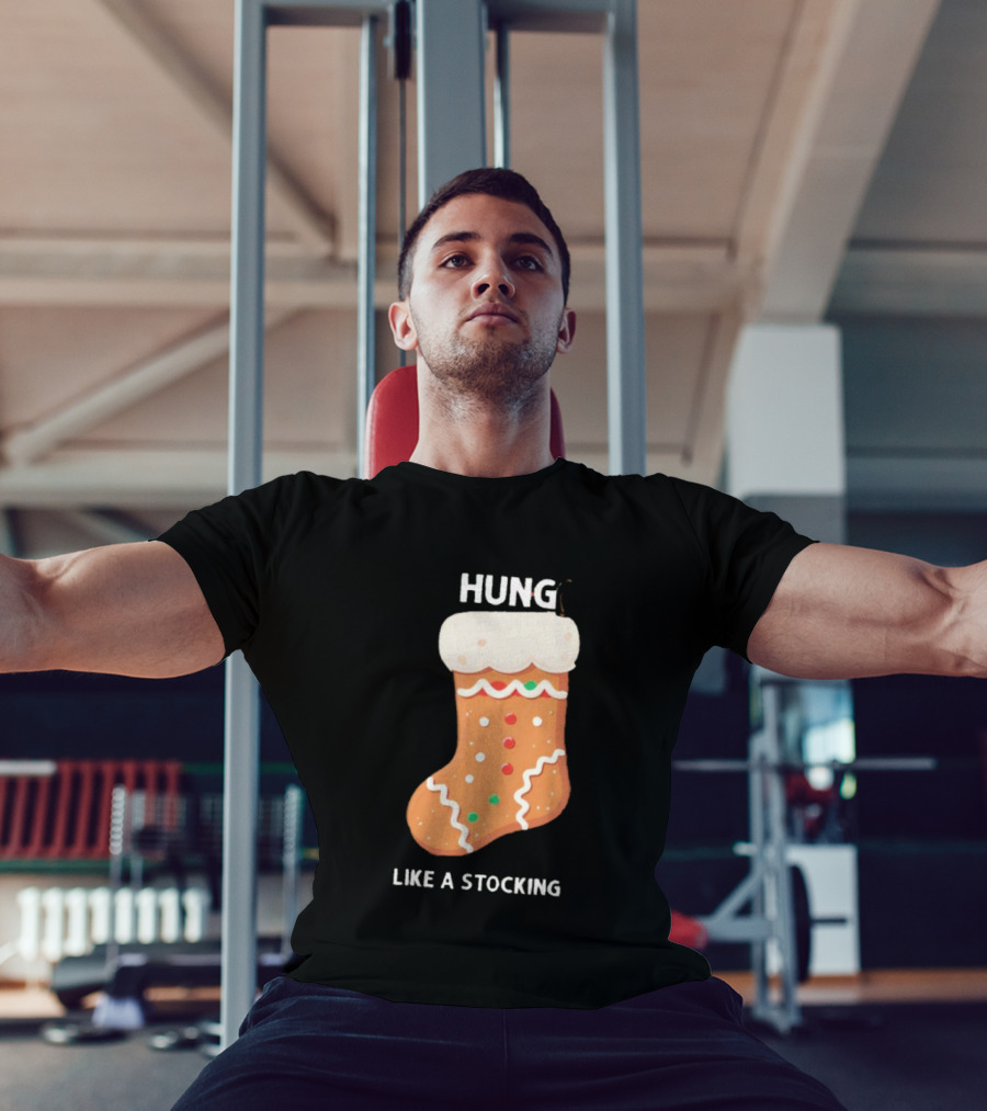Hung Like A Stocking Gingerbread Christmas T-Shirt