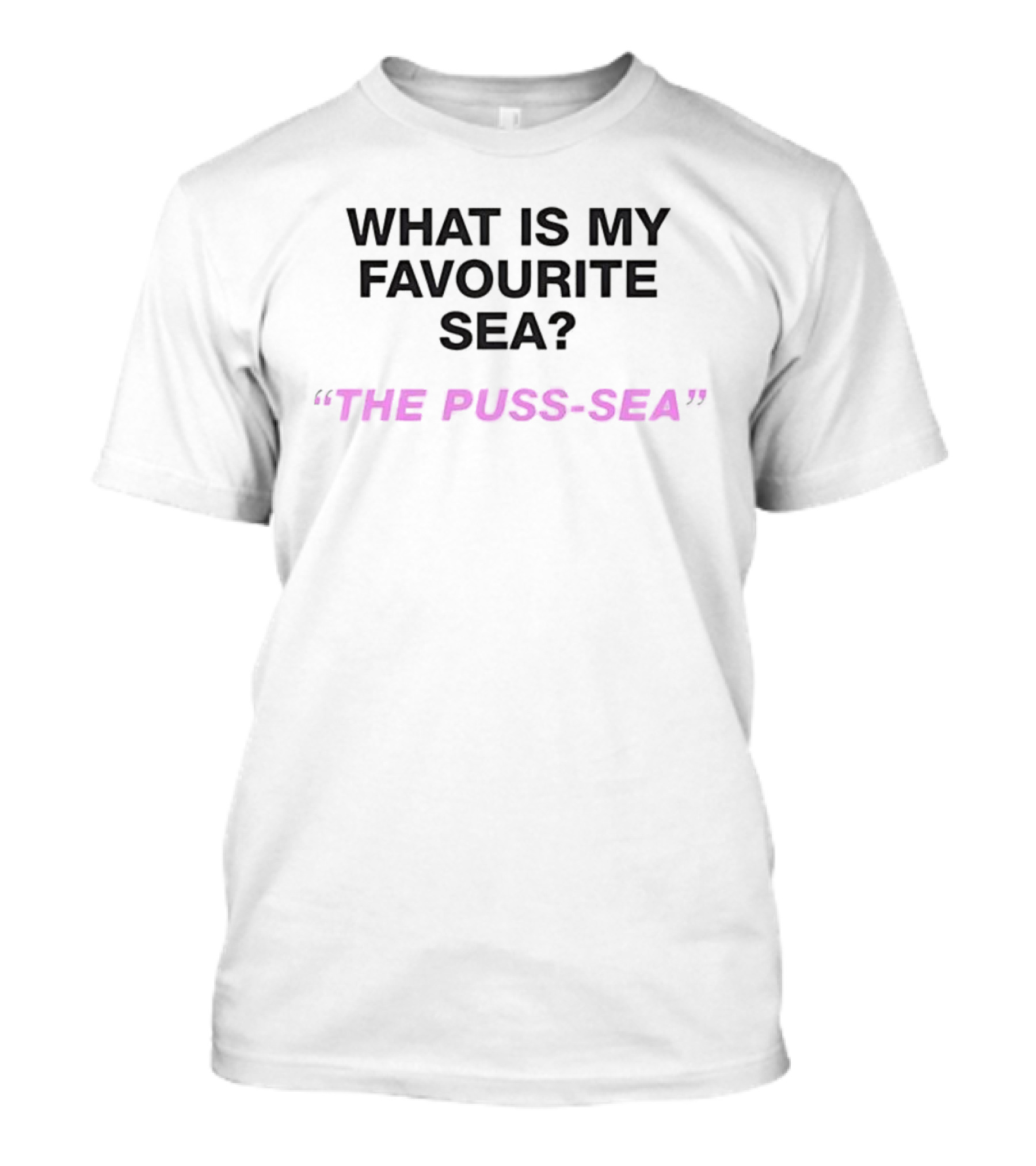 What Is My Favourite Sea The Puss Sea Playful Question Phrase T-Shirt