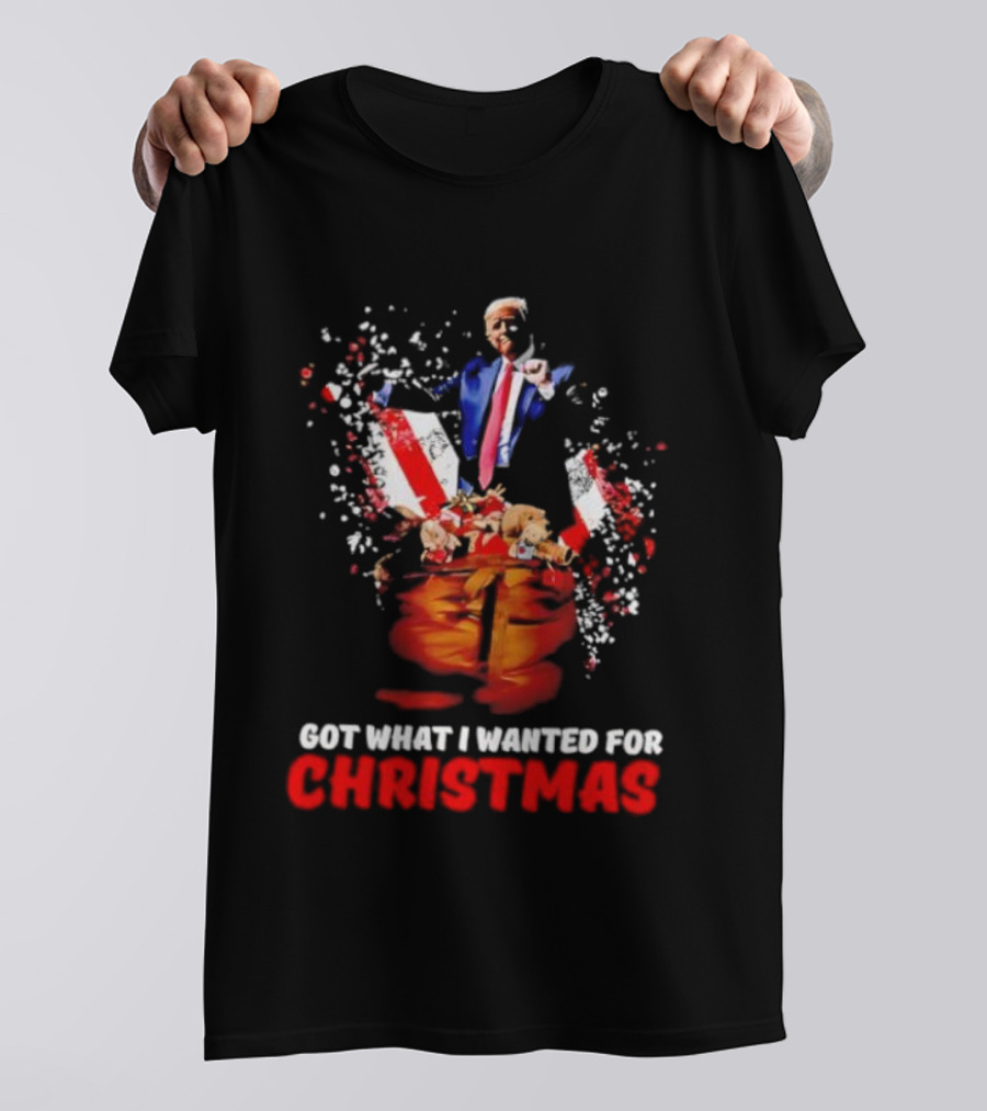 Trump Got What I Wanted For Christmas Santa Bag Fireworks T-Shirt