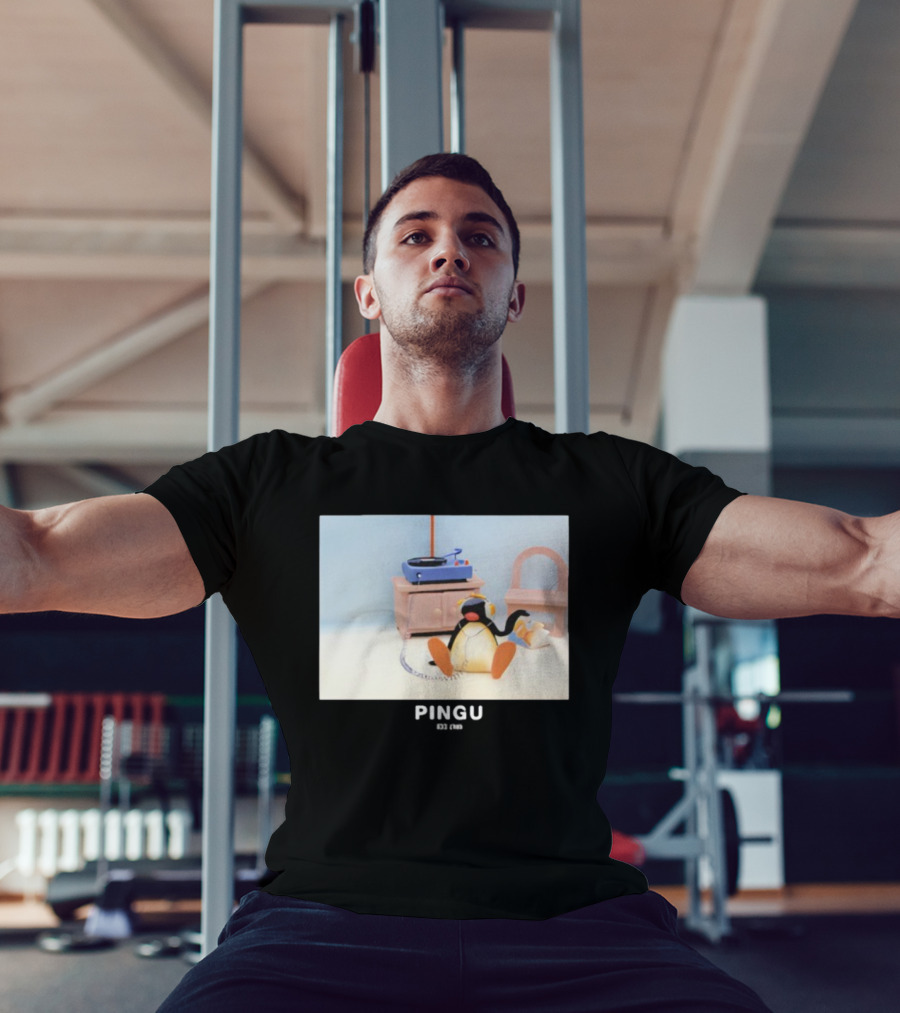 Pingu Chill 1986 Retro Music Vibes T-Shirt