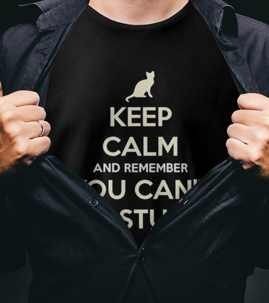 Keep Calm And Remember You Can't Fix Stupid Cat Silhouette T-Shirt