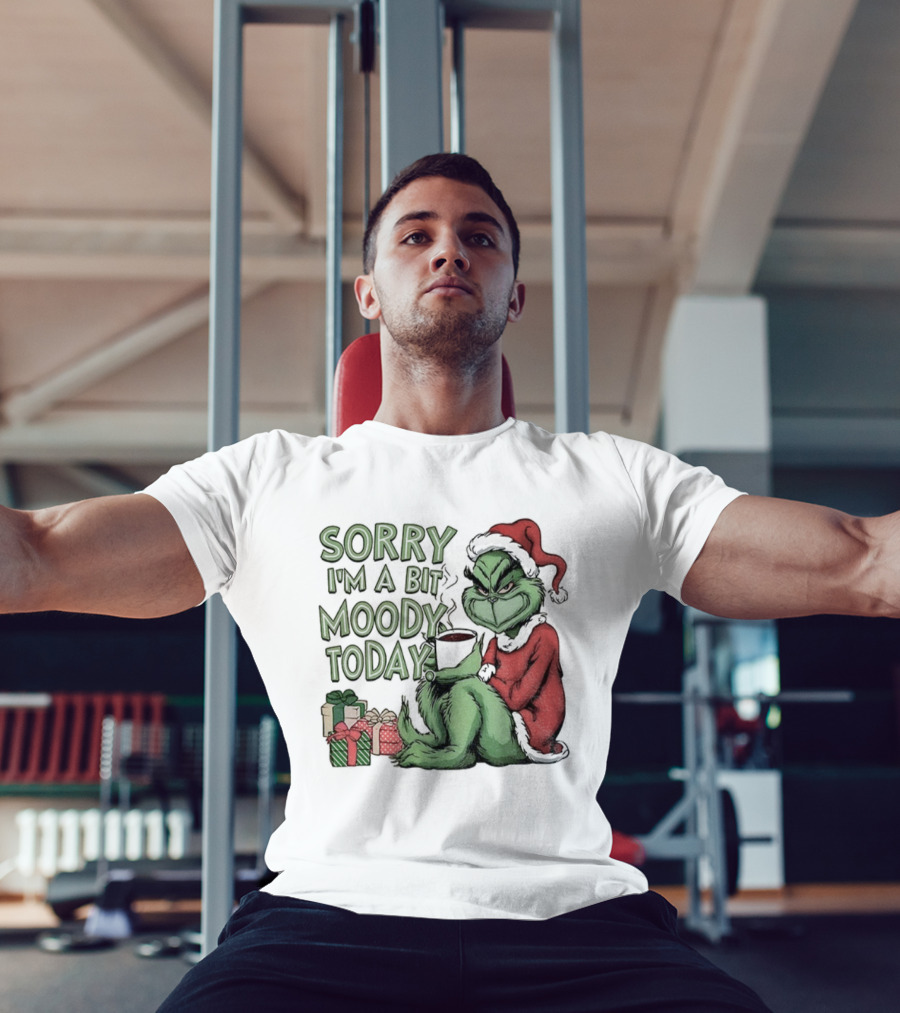 Grinch Sorry I'm A Bit Moody Today Christmas Mood With Gifts T-Shirt