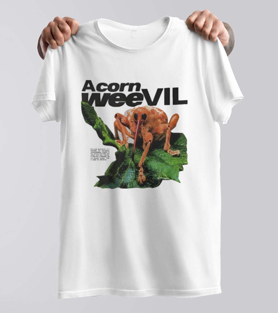 Acorn Weevil On Leaf Close-Up Stare T-Shirt