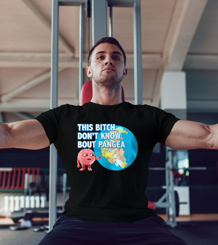 This Bitch Don't Know Bout Pangea Brain Meme Map T-Shirt
