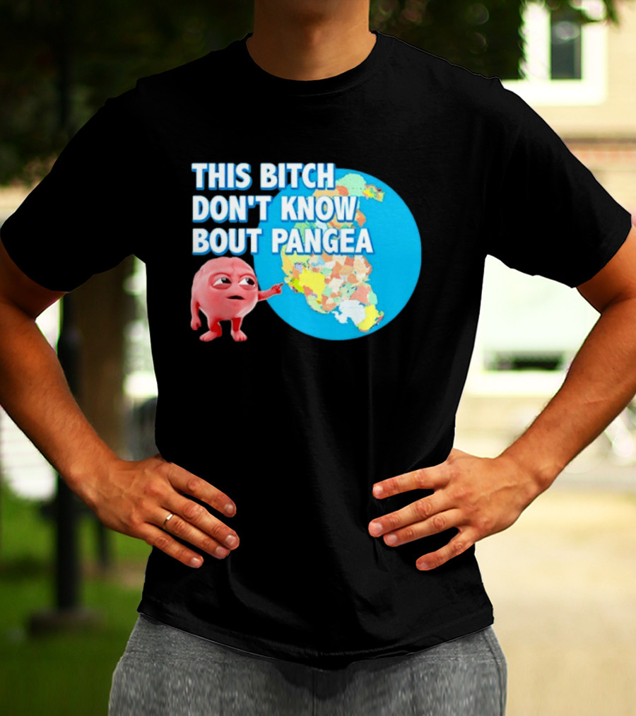 This Bitch Don't Know Bout Pangea Brain Meme Map T-Shirt