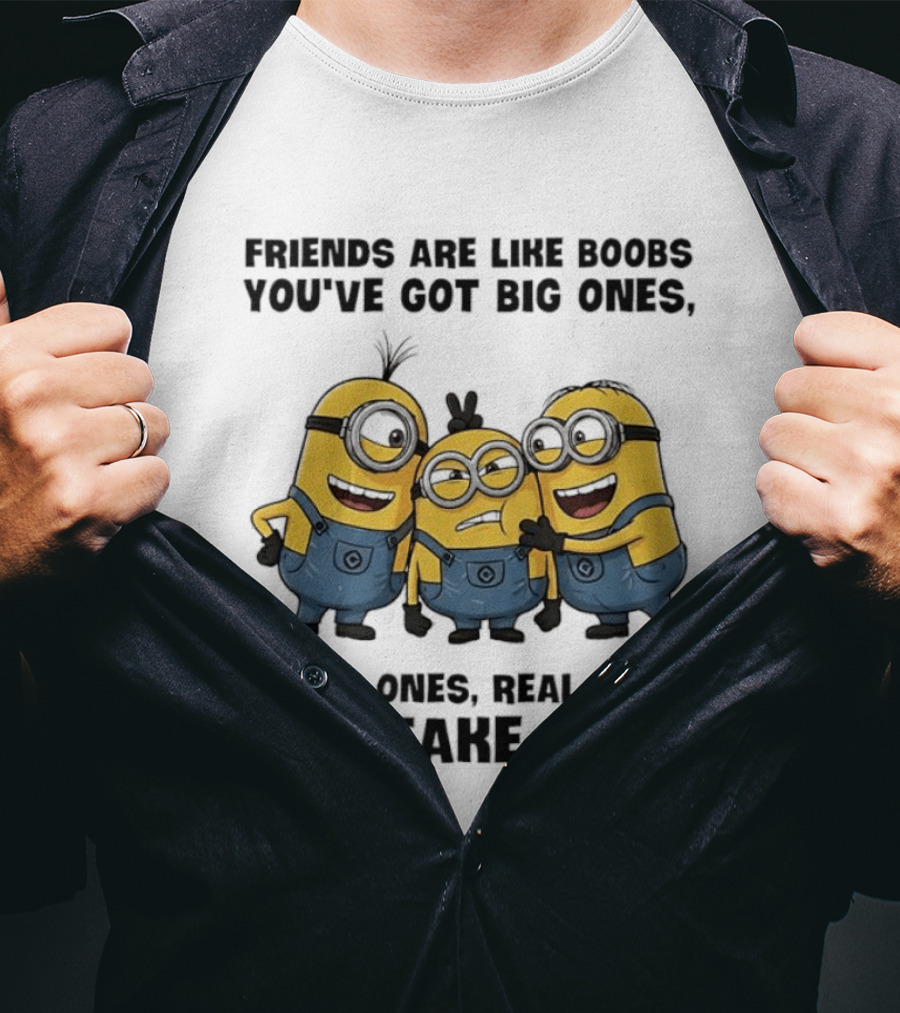Minions Friends Big Ones Small Ones Real Ones Fake Ones T-Shirt
