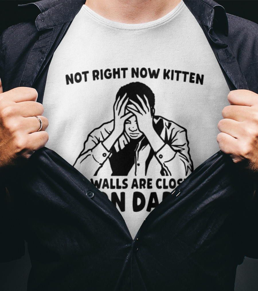 Not Right Now Kitten The Walls Are Closing In On Daddy Stress Humor T-Shirt