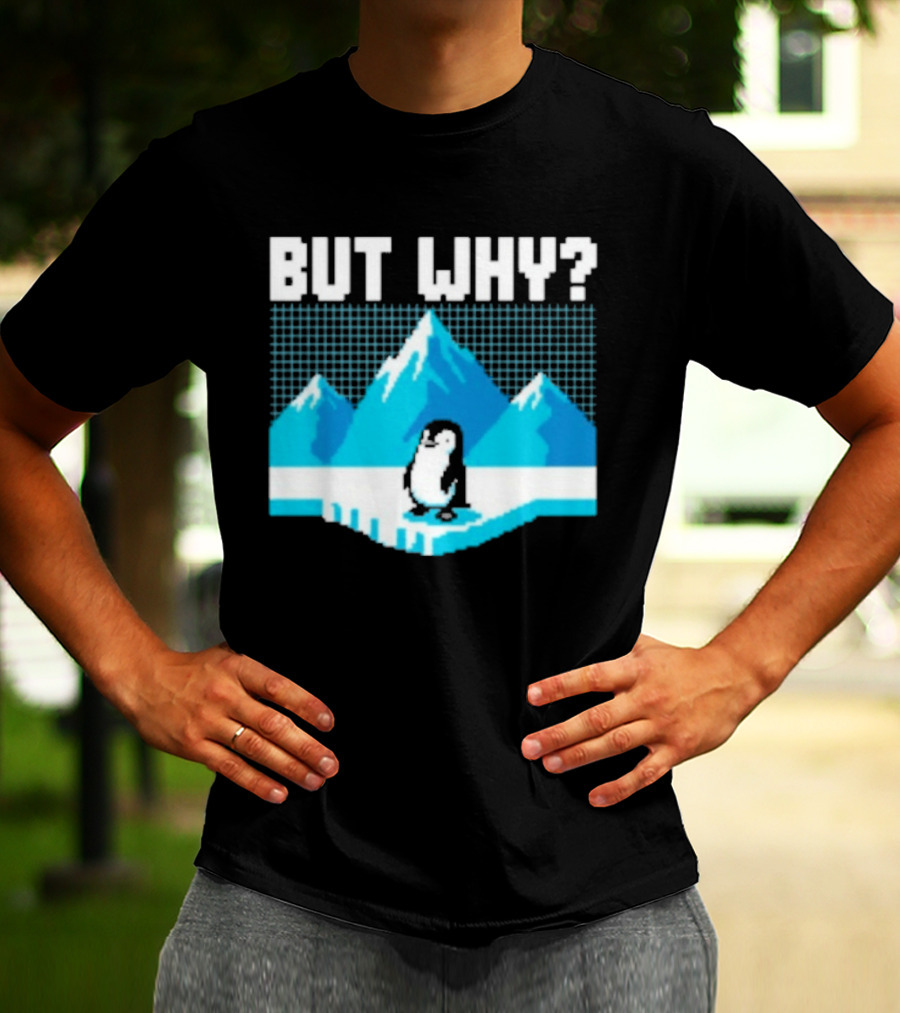 But Why Penguin Arctic Mountains Iceberg T-Shirt