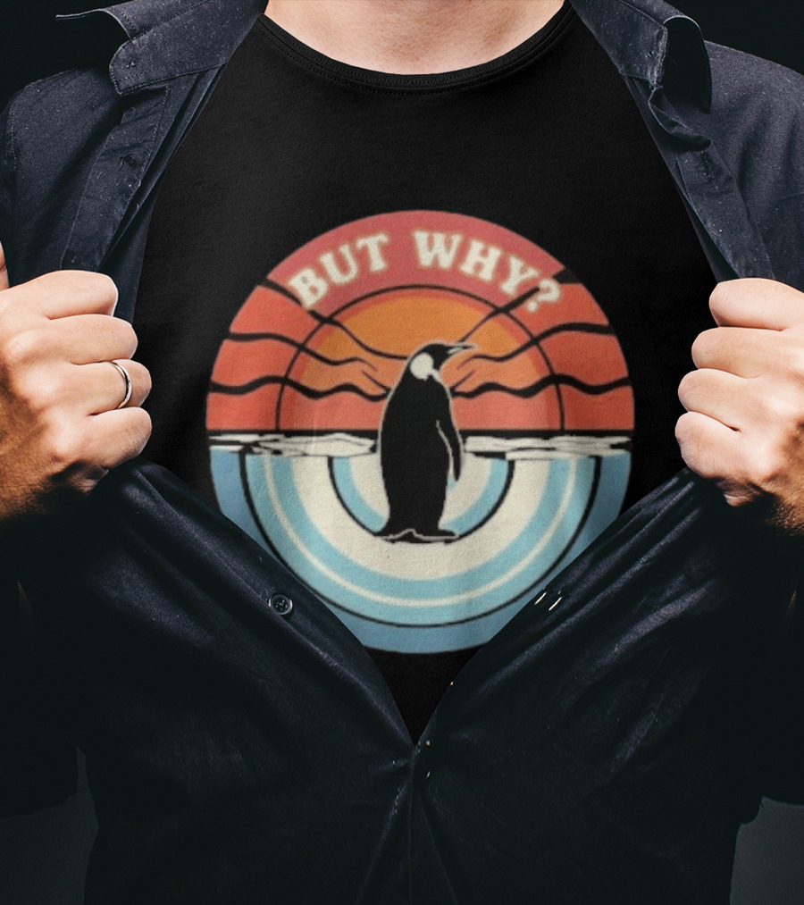 But Why Penguin Vintage Sunset Retro Ocean Waves T-Shirt