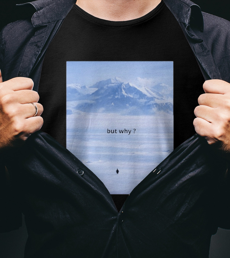 Penguin But Why Meme Snowy Mountains Motivational Scene T-Shirt
