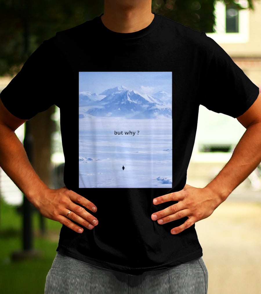 Penguin But Why Meme Snowy Mountains Motivational Scene T-Shirt