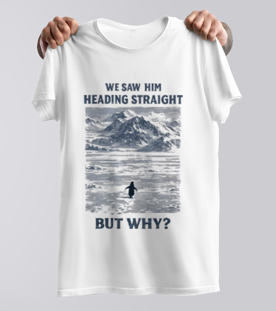 We Saw Him Heading Straight But Why Penguin Mountain Meme T-Shirt