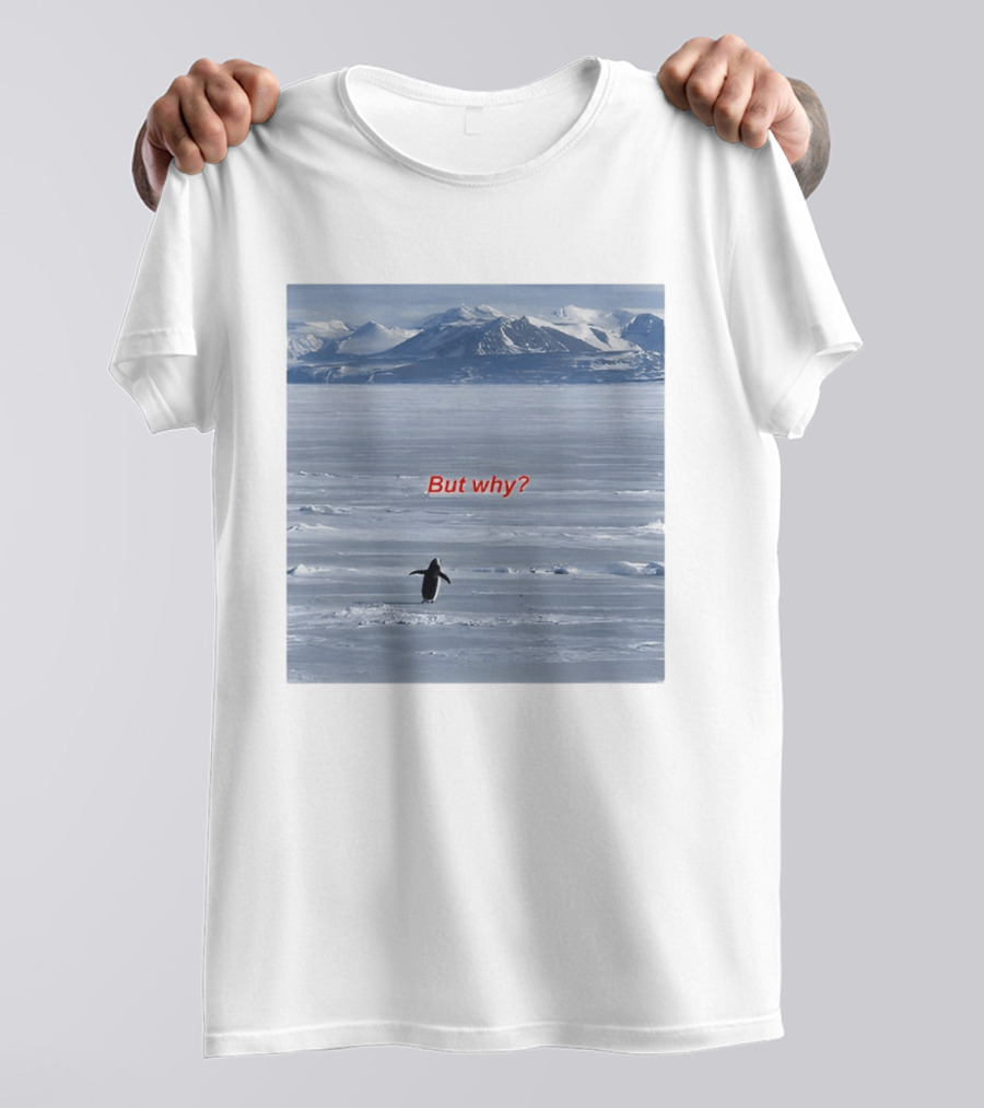 But Why Penguin Nihilist Scenic Antarctic Mountains T-Shirt