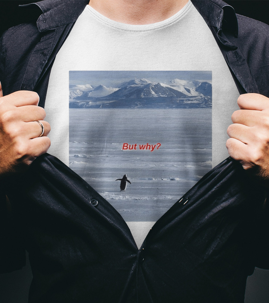 But Why Penguin Nihilist Scenic Antarctic Mountains T-Shirt