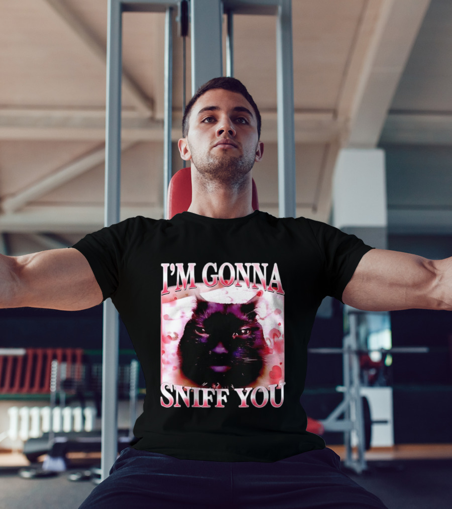I'm Gonna Sniff You Cat Meme Valentine Aesthetic T-Shirt