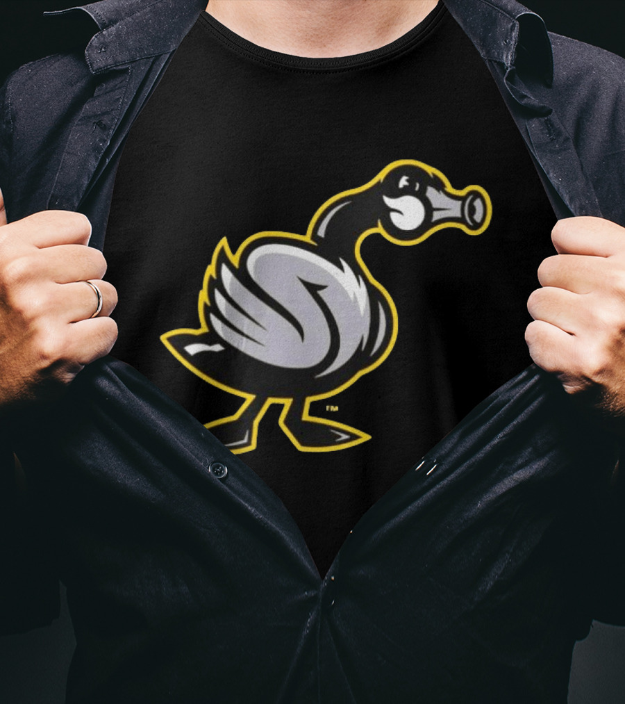 Wichita Honkers Canada Geese Cartoon Bird T-Shirt