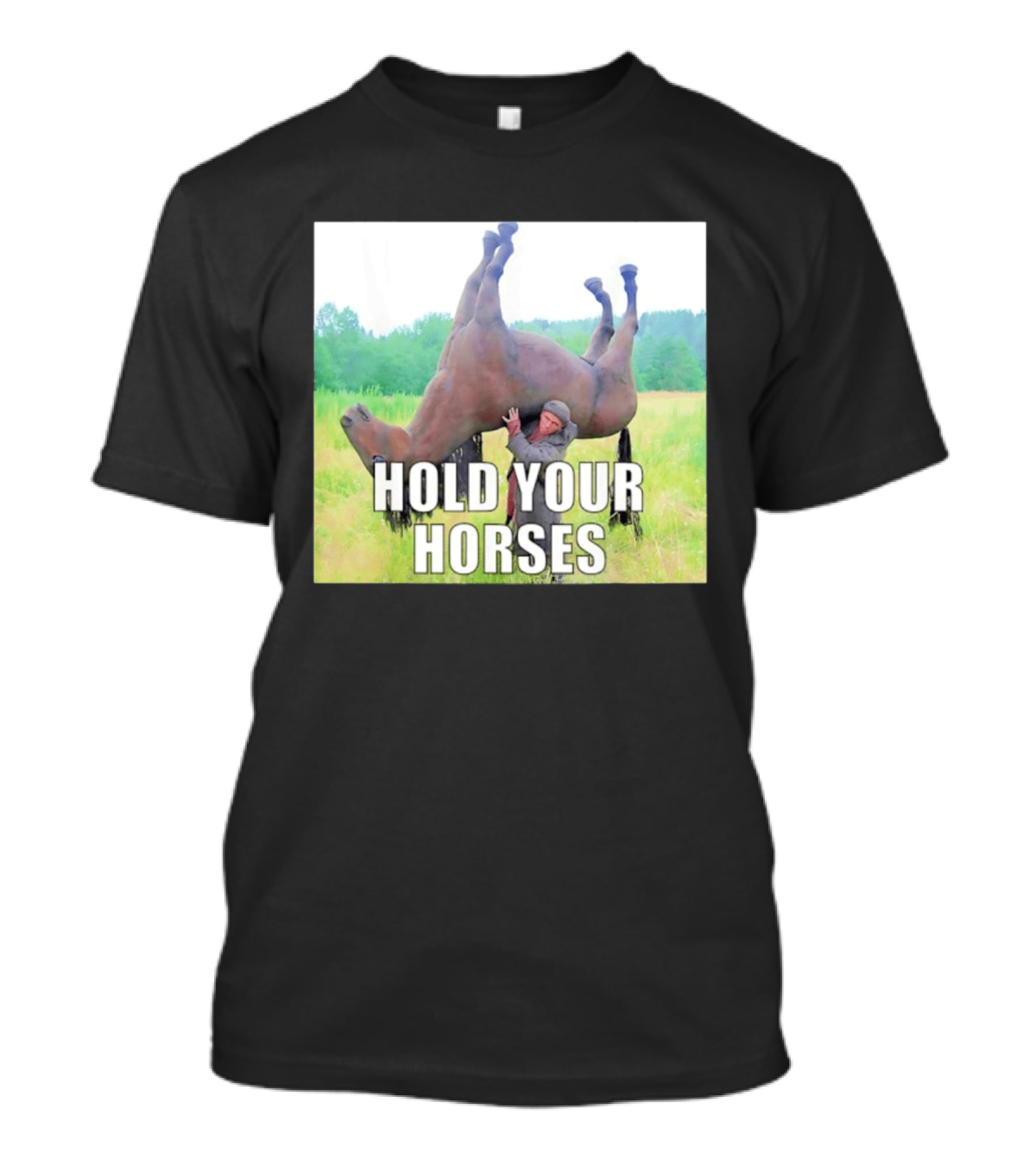 Hold Your Horses Funny Farm Humor T-Shirt