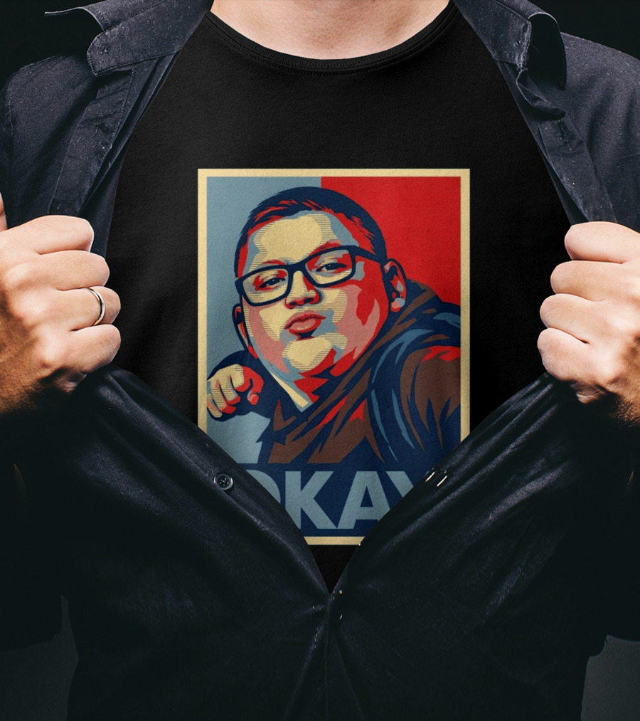 Okay Punch Kid Meme T-Shirt