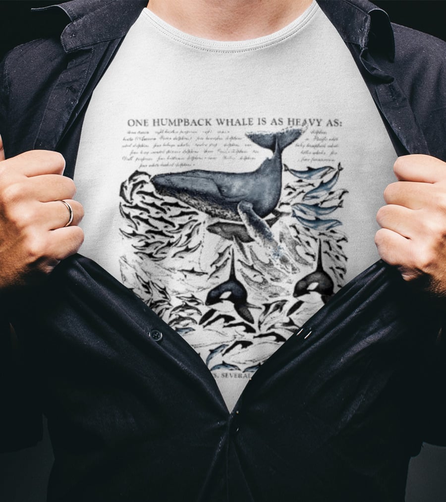 One Humpback Whale Equals 33 Tons Several Belugas Comparison T-Shirt