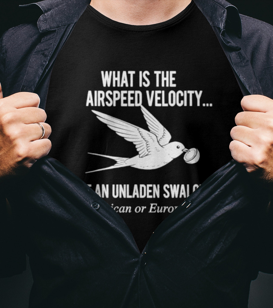 What Is The Airspeed Velocity Of An Unladen Swallow African Or European T-Shirt