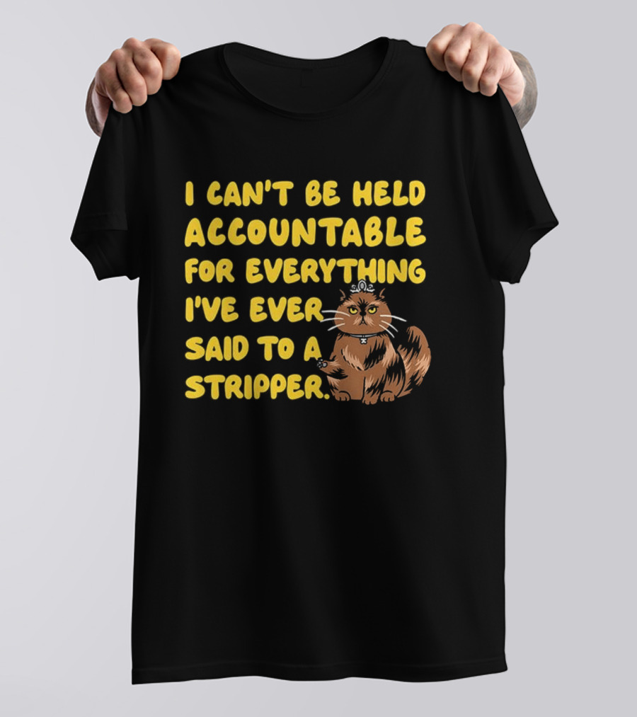 I Can't Be Held Accountable Cat Humor And Stripper T-Shirt