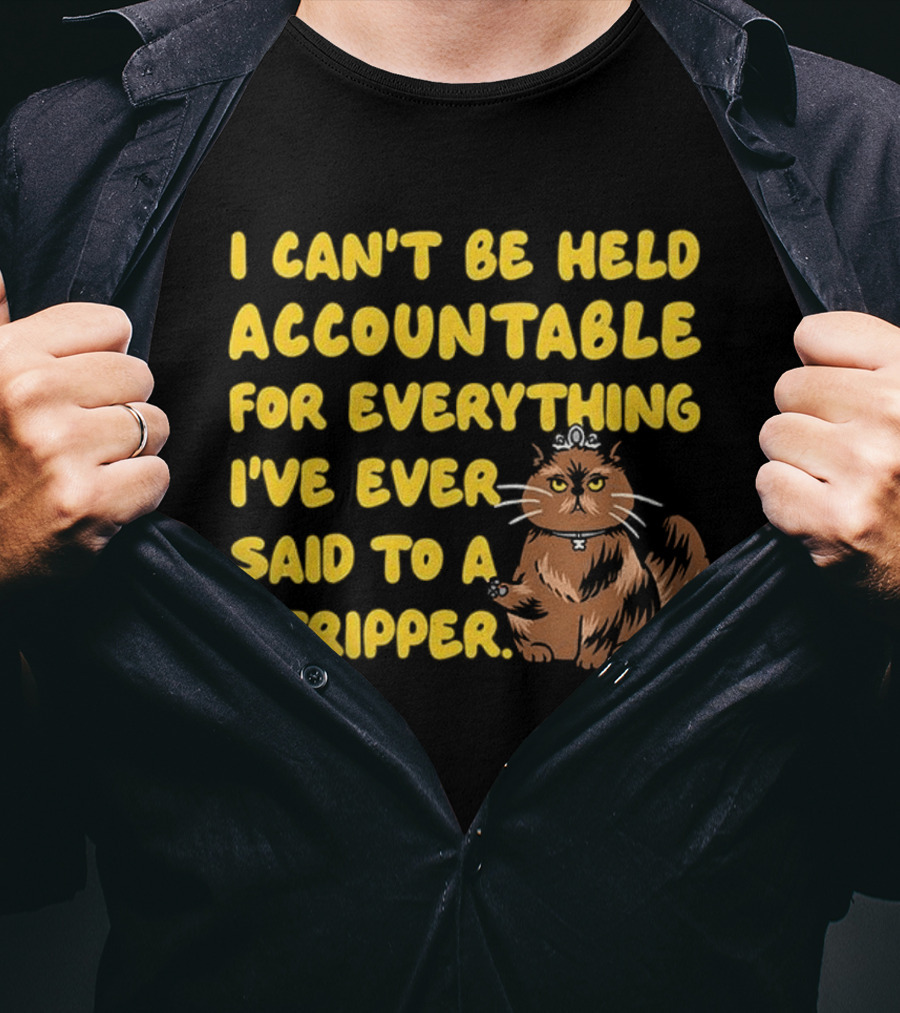 I Can't Be Held Accountable Cat Humor And Stripper T-Shirt