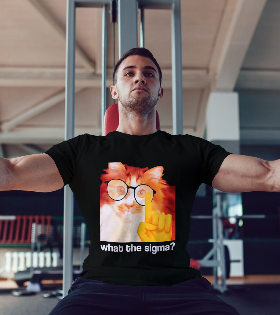 What The Sigma Cat Meme Glasses Pointing Finger Humor T-Shirt