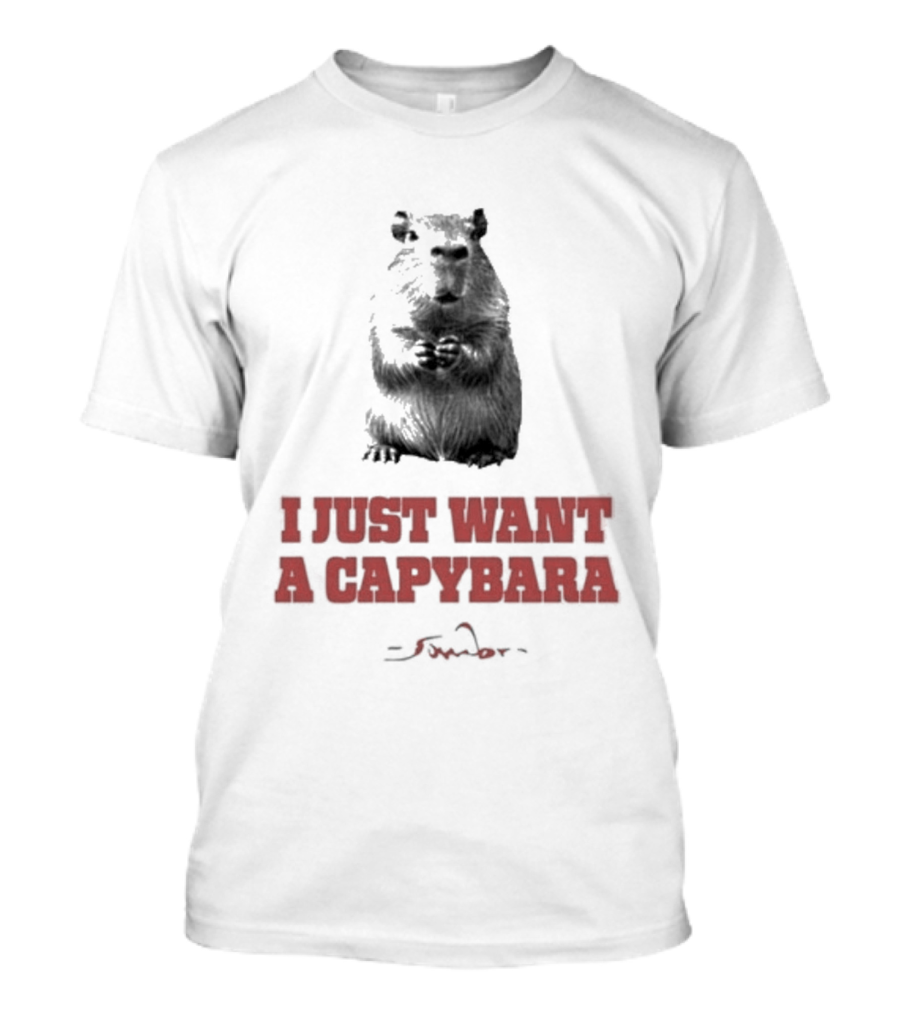 I Just Want A Capybara Dark T-Shirt