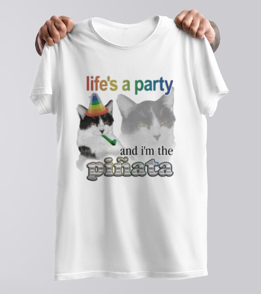 Life's A Party Cat I'm The Piñata Party Hat Humor T-Shirt