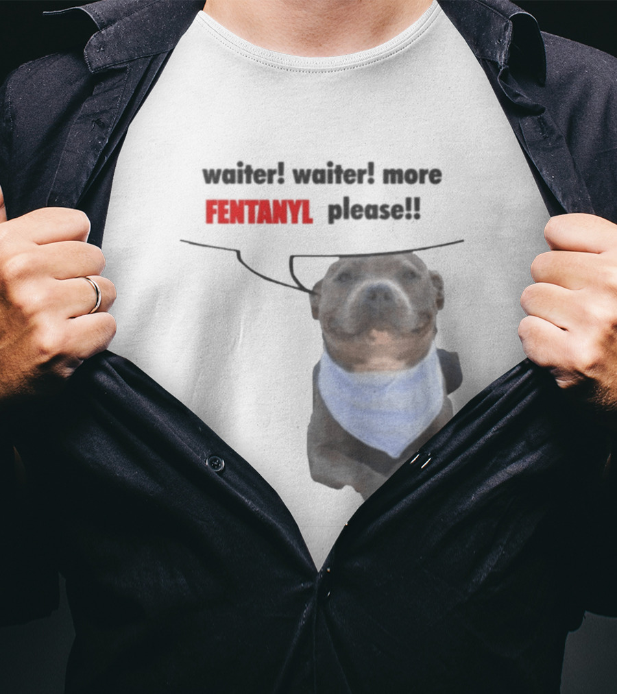Waiter Waiter More Fentanyl Meme Dog Funny Please T-Shirt