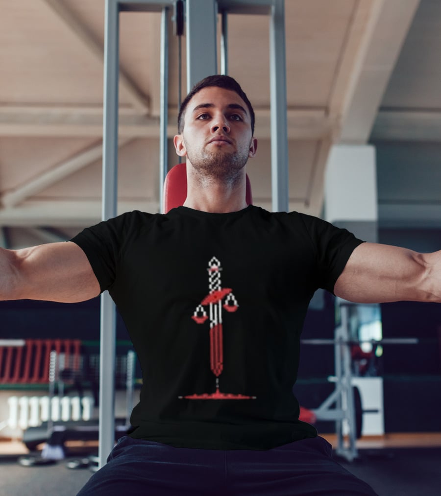 Technoblade In My Defense Your Honor It Was Hilarious Sword Scales T-Shirt