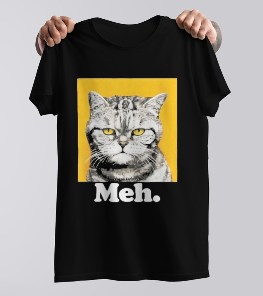 90 Day The Single Life Meh Cat T-Shirt