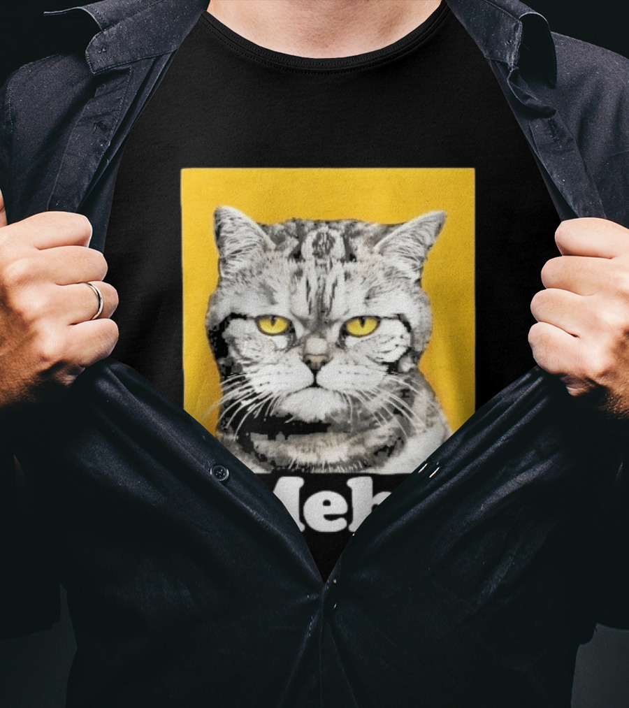 90 Day The Single Life Meh Cat T-Shirt