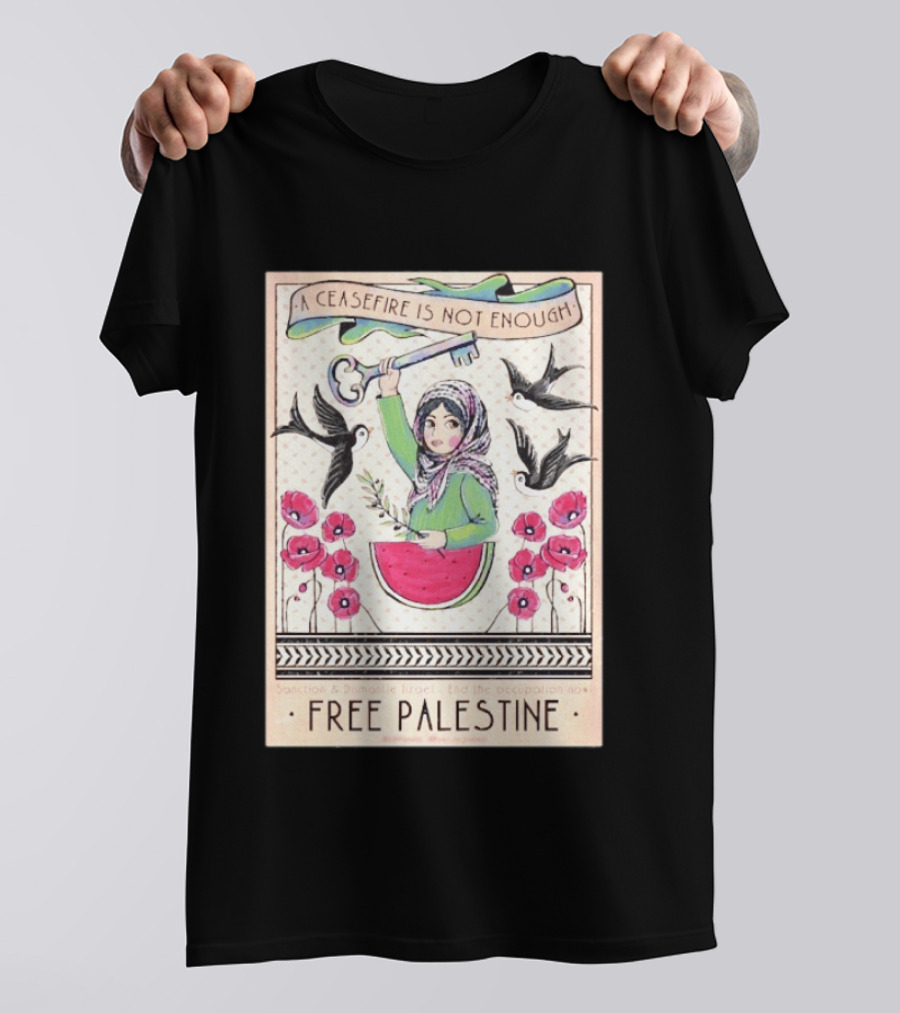 A Ceasefire Is Not Enough Free Palestine Sanction And Dismantle Israel End The Occupation Now T-Shirt