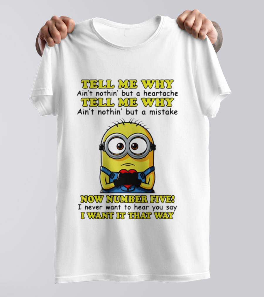 Tell Me Why Ain't Nothin' But A Heartache Mistake Minion I Want It That Way Number Five T-Shirt