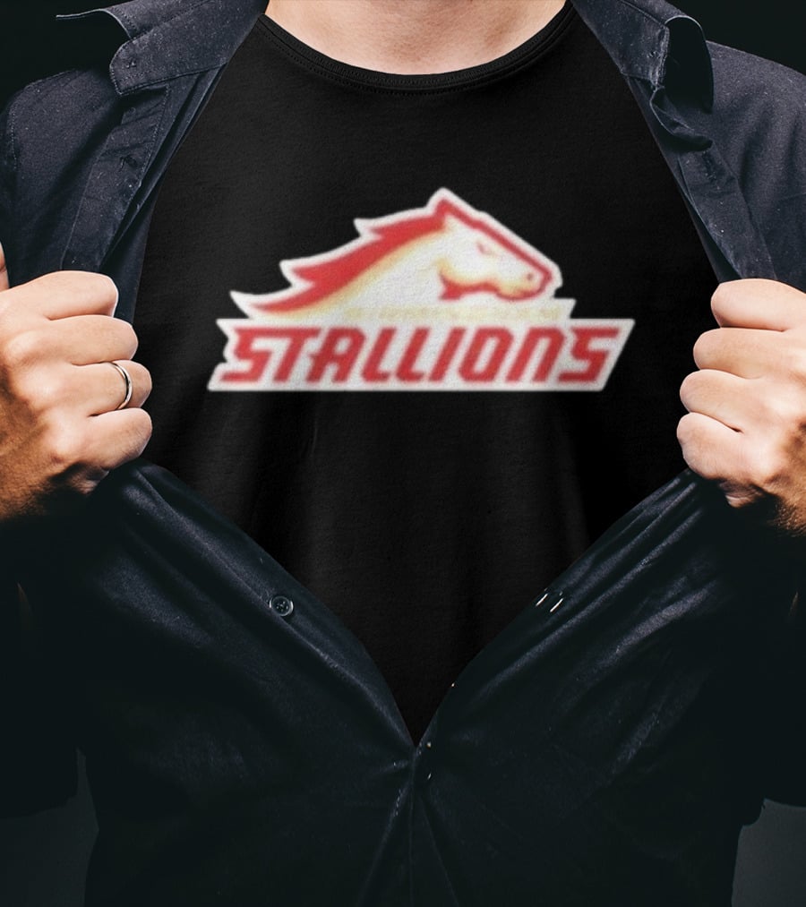 Mintzy Birmingham Stallions Team T-Shirt