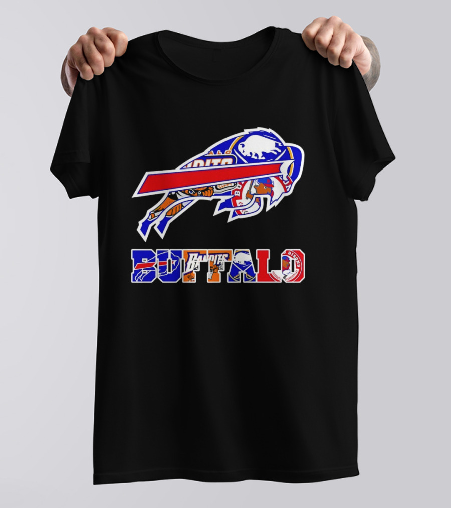 Several Buffalo Bills And New York Teams T-Shirt